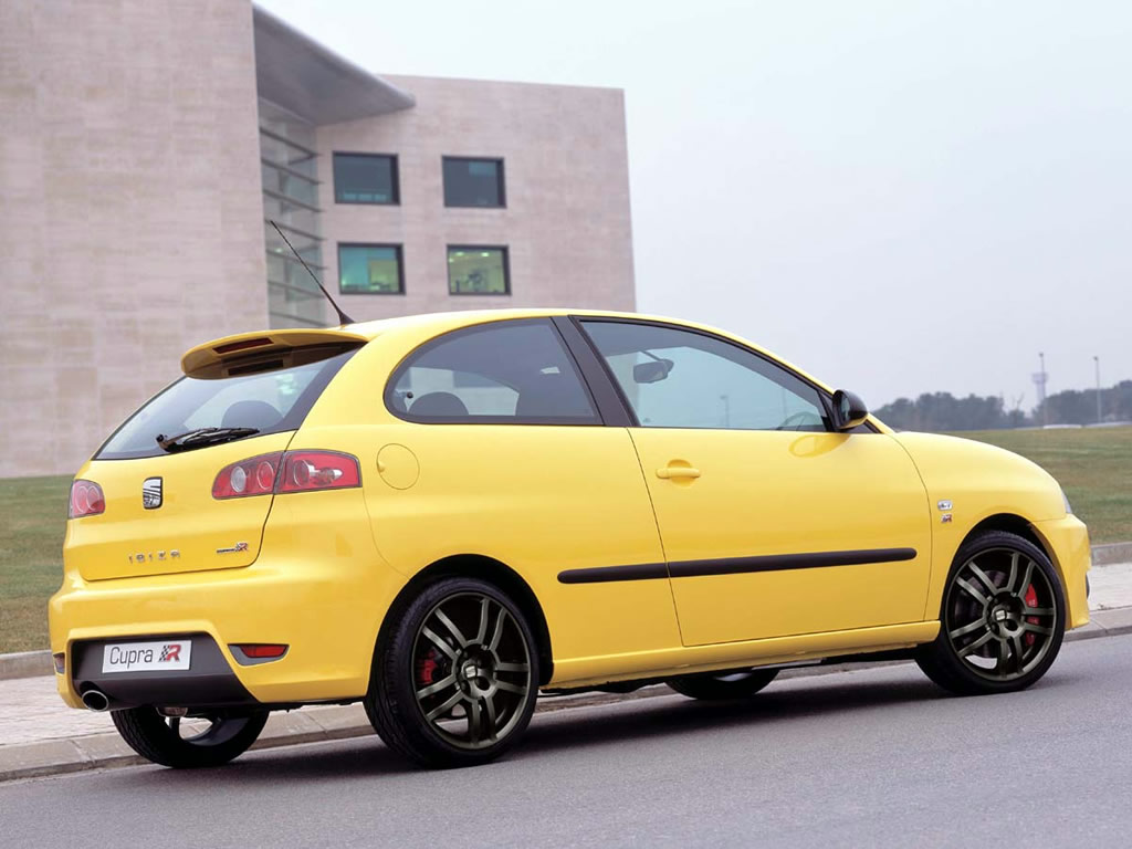 Seat Ibiza: 10 фото