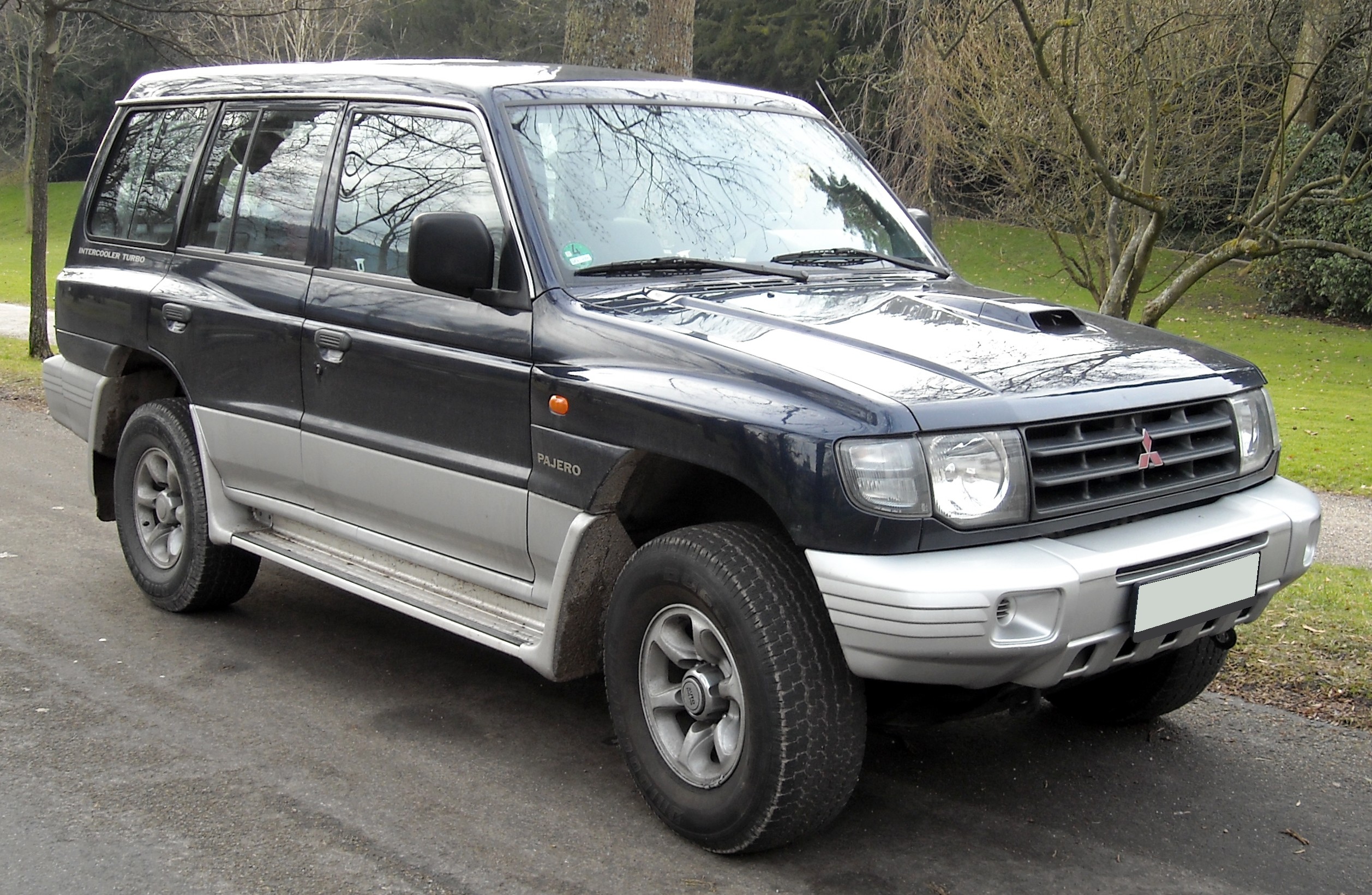 Mitsubishi Pajero II: 1 фото